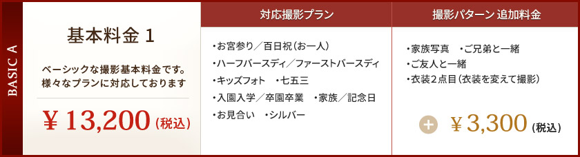 基本料金1：￥13,200（税込）