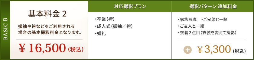 基本料金2：￥16,500（税込）