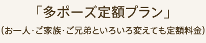 「多ポーズ定額プラン」（お一人・ご家族・ご兄弟といろいろ変えても定額料金）