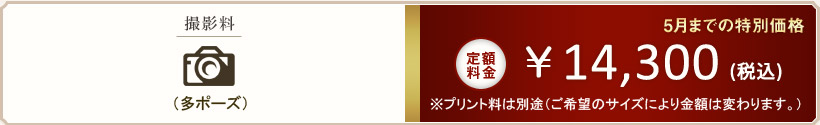 定額料金　\14,300（税込）