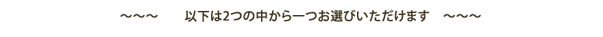 以下は2つの中から一つお選びいただけます
