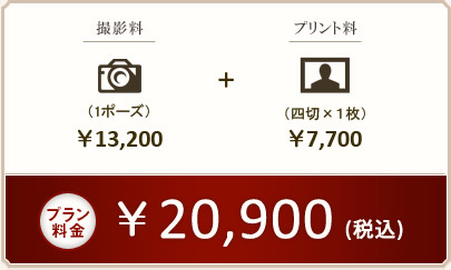 プラン料金 \20,900(税込)